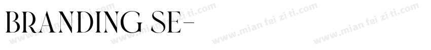branding se字体转换